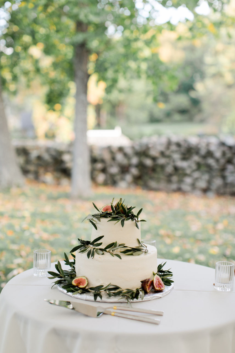 simple and classic two tier wedding cake with greenery and fruit
